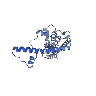 20788_6uiv_E_v1-2
Cryo-EM structure of human CALHM2 in an active/open state