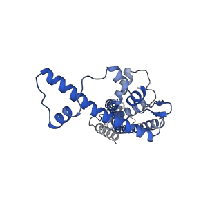 20788_6uiv_F_v1-2
Cryo-EM structure of human CALHM2 in an active/open state