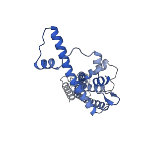 20788_6uiv_G_v1-2
Cryo-EM structure of human CALHM2 in an active/open state