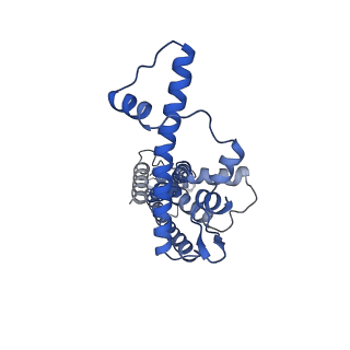 20788_6uiv_H_v1-2
Cryo-EM structure of human CALHM2 in an active/open state