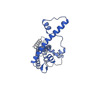 20788_6uiv_I_v1-2
Cryo-EM structure of human CALHM2 in an active/open state