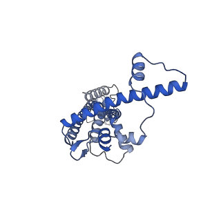 20788_6uiv_J_v1-2
Cryo-EM structure of human CALHM2 in an active/open state