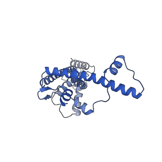 20788_6uiv_K_v1-2
Cryo-EM structure of human CALHM2 in an active/open state