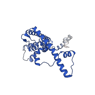 20789_6uiw_A_v1-3
Cryo-EM structure of human CALHM2 in a ruthenium red-bound inhibited state