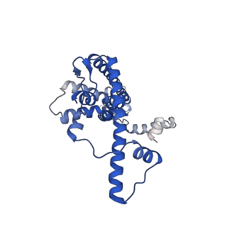 20789_6uiw_B_v1-3
Cryo-EM structure of human CALHM2 in a ruthenium red-bound inhibited state
