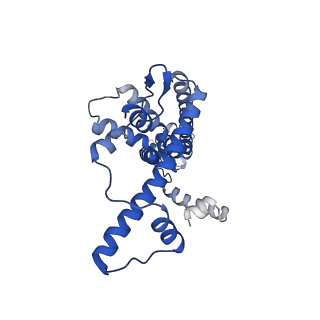 20789_6uiw_C_v1-3
Cryo-EM structure of human CALHM2 in a ruthenium red-bound inhibited state