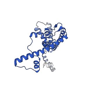 20789_6uiw_D_v1-3
Cryo-EM structure of human CALHM2 in a ruthenium red-bound inhibited state