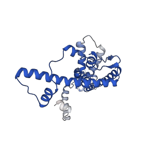 20789_6uiw_E_v1-3
Cryo-EM structure of human CALHM2 in a ruthenium red-bound inhibited state