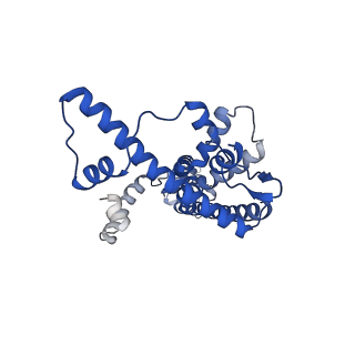 20789_6uiw_F_v1-3
Cryo-EM structure of human CALHM2 in a ruthenium red-bound inhibited state