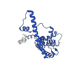 20789_6uiw_G_v1-3
Cryo-EM structure of human CALHM2 in a ruthenium red-bound inhibited state