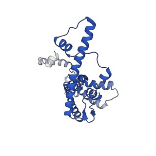 20789_6uiw_H_v1-3
Cryo-EM structure of human CALHM2 in a ruthenium red-bound inhibited state