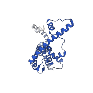 20789_6uiw_I_v1-3
Cryo-EM structure of human CALHM2 in a ruthenium red-bound inhibited state