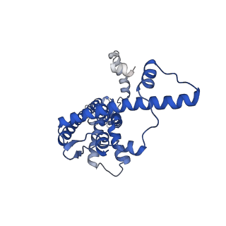 20789_6uiw_J_v1-3
Cryo-EM structure of human CALHM2 in a ruthenium red-bound inhibited state