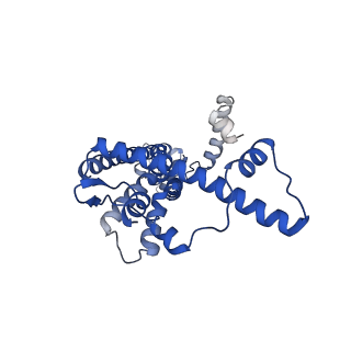 20789_6uiw_K_v1-3
Cryo-EM structure of human CALHM2 in a ruthenium red-bound inhibited state
