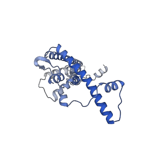20790_6uix_A_v1-2
Cryo-EM structure of human CALHM2 gap junction