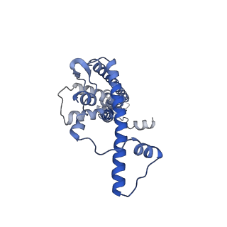 20790_6uix_B_v1-2
Cryo-EM structure of human CALHM2 gap junction