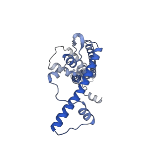 20790_6uix_C_v1-2
Cryo-EM structure of human CALHM2 gap junction