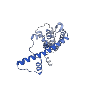 20790_6uix_D_v1-2
Cryo-EM structure of human CALHM2 gap junction