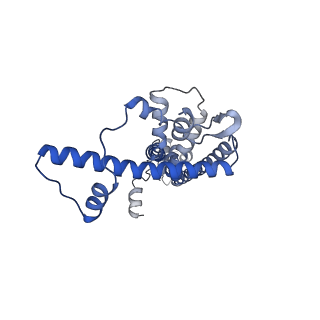 20790_6uix_E_v1-2
Cryo-EM structure of human CALHM2 gap junction
