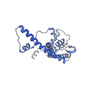 20790_6uix_F_v1-2
Cryo-EM structure of human CALHM2 gap junction