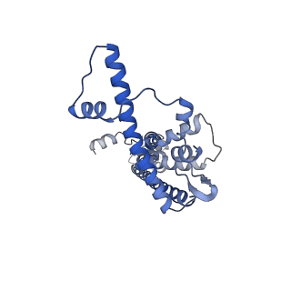 20790_6uix_G_v1-2
Cryo-EM structure of human CALHM2 gap junction