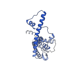 20790_6uix_H_v1-2
Cryo-EM structure of human CALHM2 gap junction