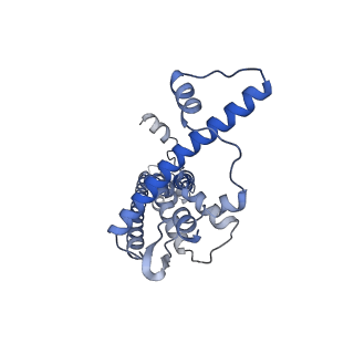 20790_6uix_I_v1-2
Cryo-EM structure of human CALHM2 gap junction