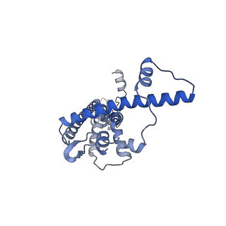 20790_6uix_J_v1-2
Cryo-EM structure of human CALHM2 gap junction