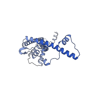 20790_6uix_K_v1-2
Cryo-EM structure of human CALHM2 gap junction