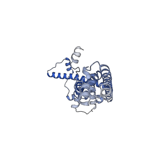 20790_6uix_M_v1-2
Cryo-EM structure of human CALHM2 gap junction