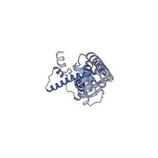 20790_6uix_N_v1-2
Cryo-EM structure of human CALHM2 gap junction