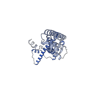 20790_6uix_O_v1-2
Cryo-EM structure of human CALHM2 gap junction