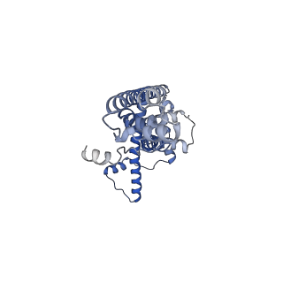 20790_6uix_P_v1-2
Cryo-EM structure of human CALHM2 gap junction