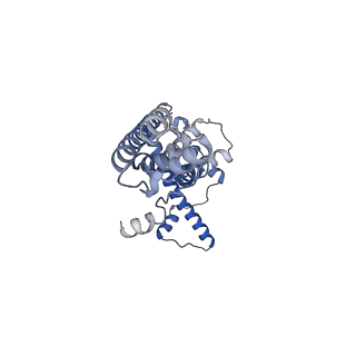 20790_6uix_Q_v1-2
Cryo-EM structure of human CALHM2 gap junction
