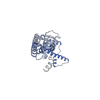 20790_6uix_R_v1-2
Cryo-EM structure of human CALHM2 gap junction