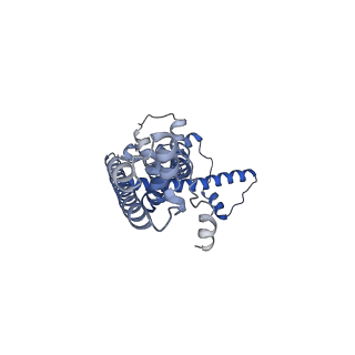 20790_6uix_S_v1-2
Cryo-EM structure of human CALHM2 gap junction