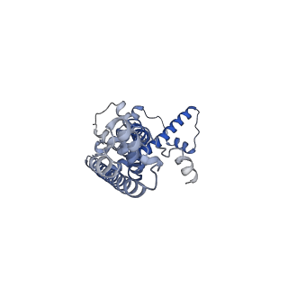 20790_6uix_T_v1-2
Cryo-EM structure of human CALHM2 gap junction