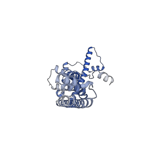 20790_6uix_U_v1-2
Cryo-EM structure of human CALHM2 gap junction