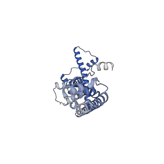 20790_6uix_V_v1-2
Cryo-EM structure of human CALHM2 gap junction