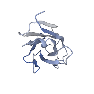 26521_7ui0_H_v1-1
Post-fusion ectodomain of HSV-1 gB in complex with HSV010-13 Fab