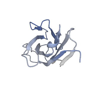 26521_7ui0_I_v1-1
Post-fusion ectodomain of HSV-1 gB in complex with HSV010-13 Fab