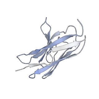 26521_7ui0_L_v1-1
Post-fusion ectodomain of HSV-1 gB in complex with HSV010-13 Fab