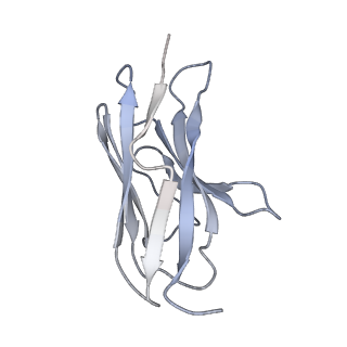 26521_7ui0_M_v1-1
Post-fusion ectodomain of HSV-1 gB in complex with HSV010-13 Fab