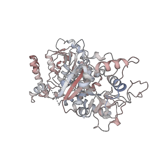 26540_7ui6_B_v1-0
CryoEM structure of LARGE1 from C1 reconstruction
