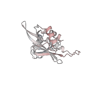 26548_7uil_4_v1-1
Mediator-PIC Early (Tail A/B Dimer)
