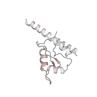 26548_7uil_5_v1-1
Mediator-PIC Early (Tail A/B Dimer)
