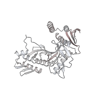 26548_7uil_a_v1-1
Mediator-PIC Early (Tail A/B Dimer)
