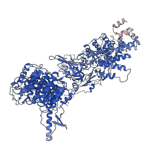 2924_4ui9_A_v1-4
Atomic structure of the human Anaphase-Promoting Complex