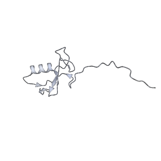 2924_4ui9_B_v1-4
Atomic structure of the human Anaphase-Promoting Complex