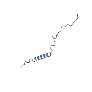 2924_4ui9_D_v1-4
Atomic structure of the human Anaphase-Promoting Complex